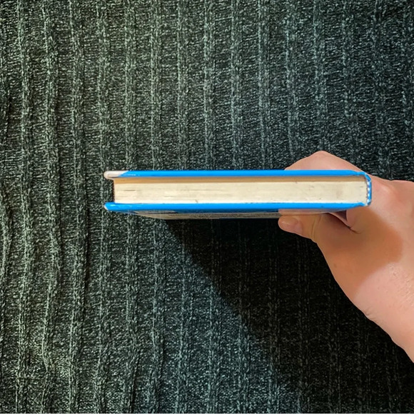 The Missing Chums (Hardy Boys Book 4) Hardcover by Franklin W. Dixon - Picture 6 of 7